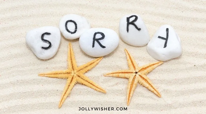 Sorry Text SMS