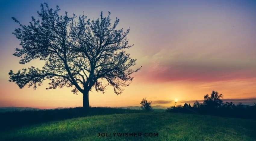 127 Empowering Spiritual Messages for Youth to Inspire Them Spiritual